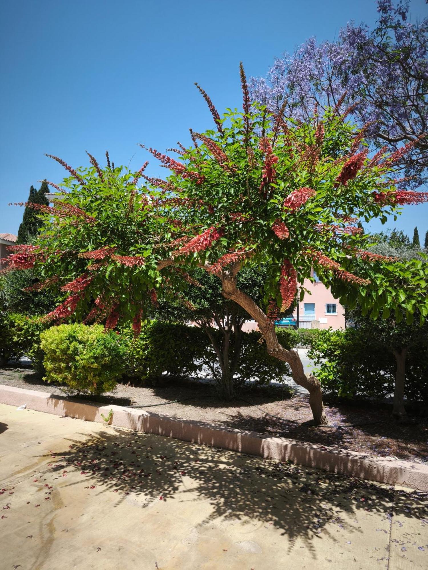 Eden Gardens Vila Pafos Exterior foto